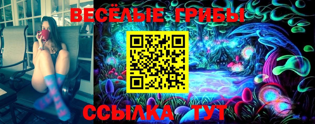 Усть-Илимск  Псилоцибиновые грибы MAGIC MUSHROOMS  Галлюциногенные грибы Psilocybine cubensis  Вход с VPN 